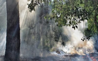 Impact of smoke from the Australia Bushfires on asthma